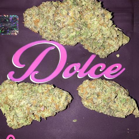 dolce weed strain